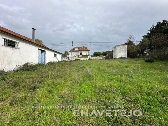 Image No.43-Ferme de 1 chambre à vendre à Torres Novas