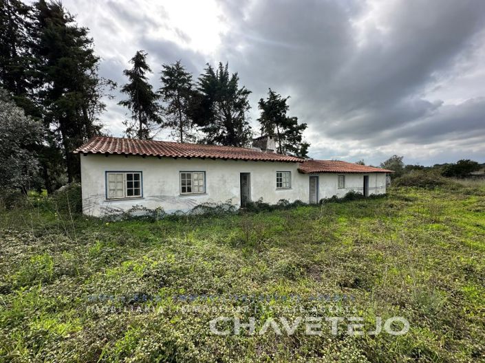 Image No.44-Ferme de 1 chambre à vendre à Torres Novas