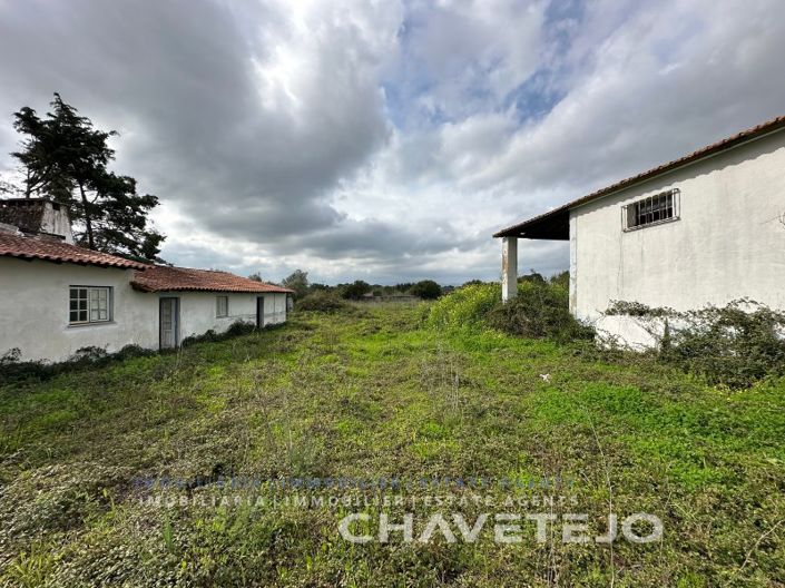 Image No.45-Ferme de 1 chambre à vendre à Torres Novas
