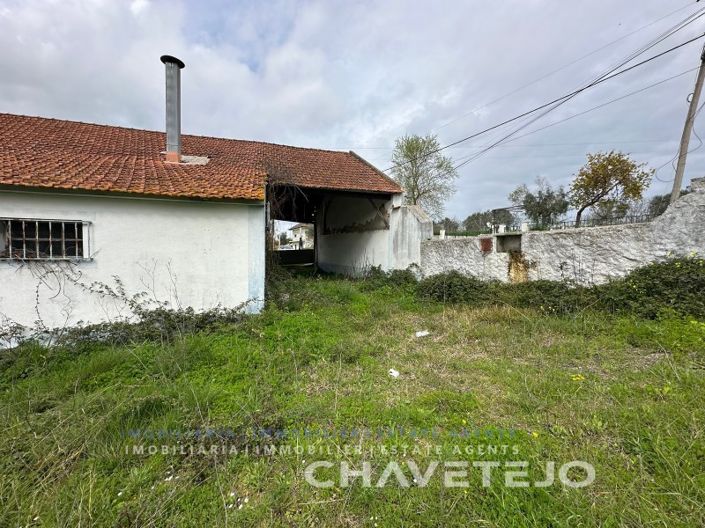 Image No.46-Ferme de 1 chambre à vendre à Torres Novas