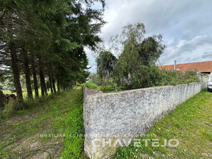 Image No.6-Ferme de 1 chambre à vendre à Torres Novas
