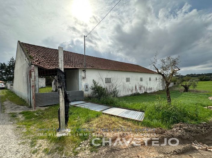 Image No.8-Ferme de 1 chambre à vendre à Torres Novas