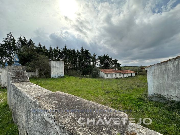 Image No.9-Ferme de 1 chambre à vendre à Torres Novas