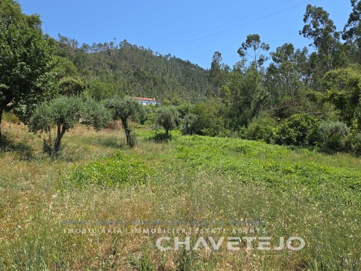 Image No.60-3 Bed House for sale