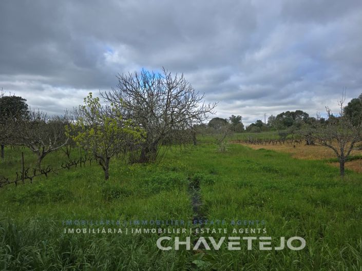 Image No.36-4 Bed House for sale