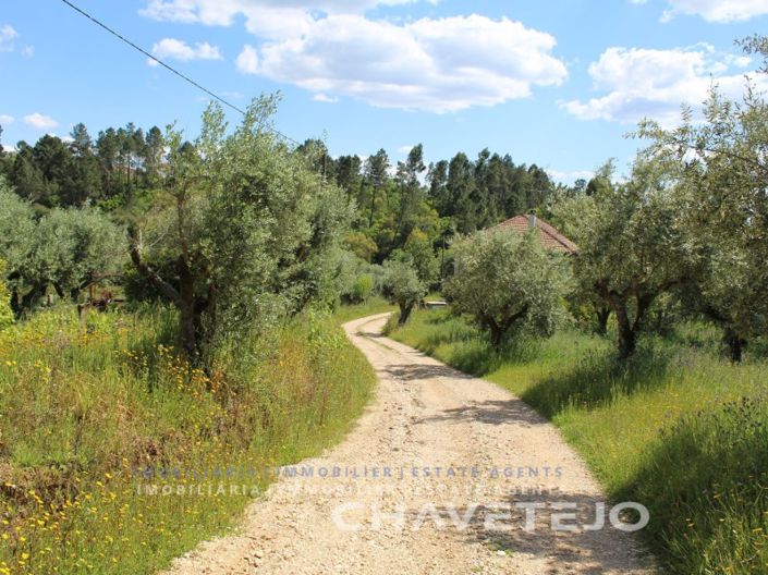 Image No.37-7 Bed House for sale