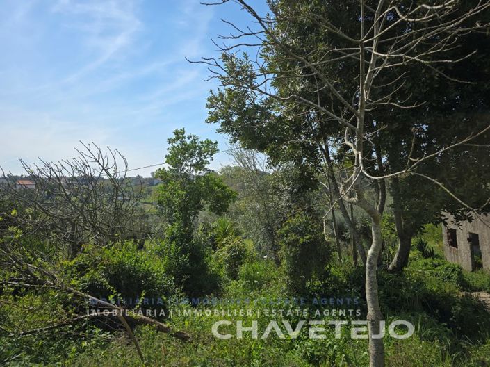 Image No.41-2 Bed House for sale