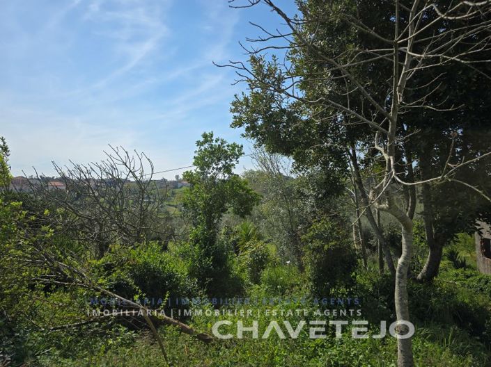 Image No.42-2 Bed House for sale