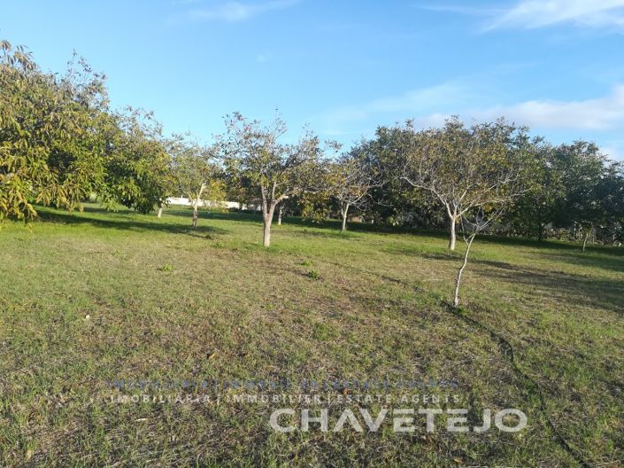 Image No.10-Terrain à vendre à Tomar