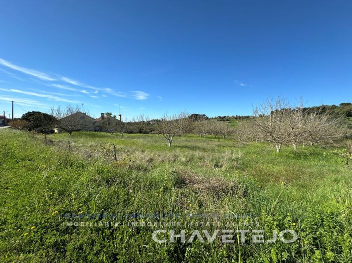 Image No.2-Terrain à vendre à Tomar