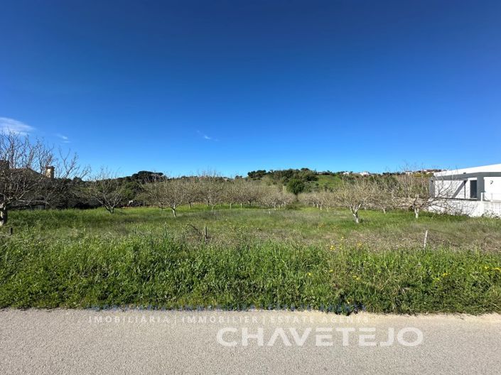 Image No.6-Terrain à vendre à Tomar