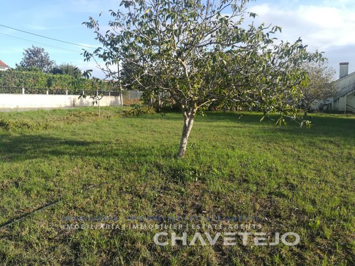 Image No.8-Terrain à vendre à Tomar