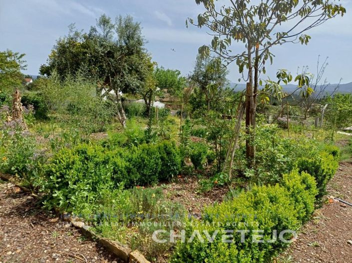 Image No.8-Farmhouse for sale