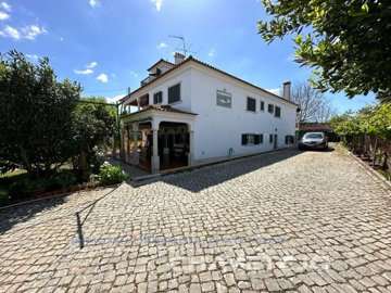 id409fc901-0000-0500-0000-00001949416b