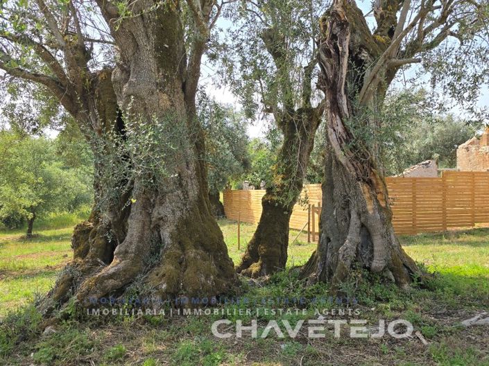 Image No.6-3 Bed House for sale