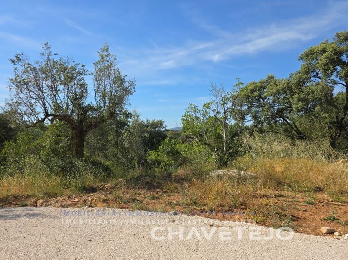 Image No.43-3 Bed House for sale