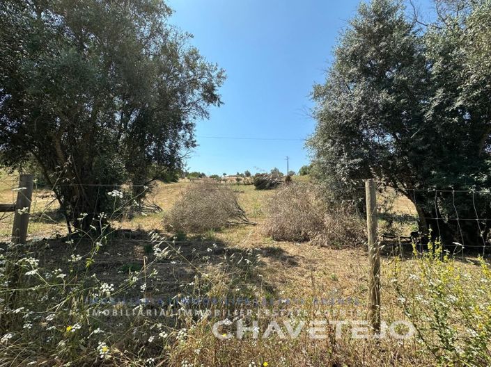 Image No.5-Plot for sale