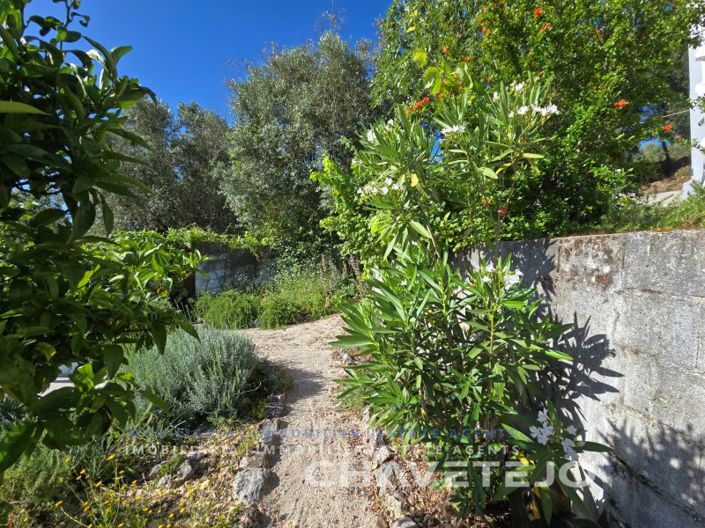 Image No.8-3 Bed House for sale