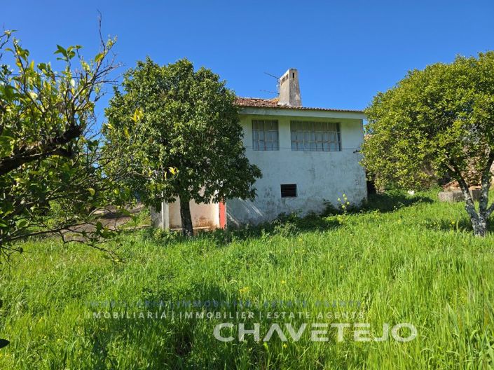 Image No.19-4 Bed House for sale