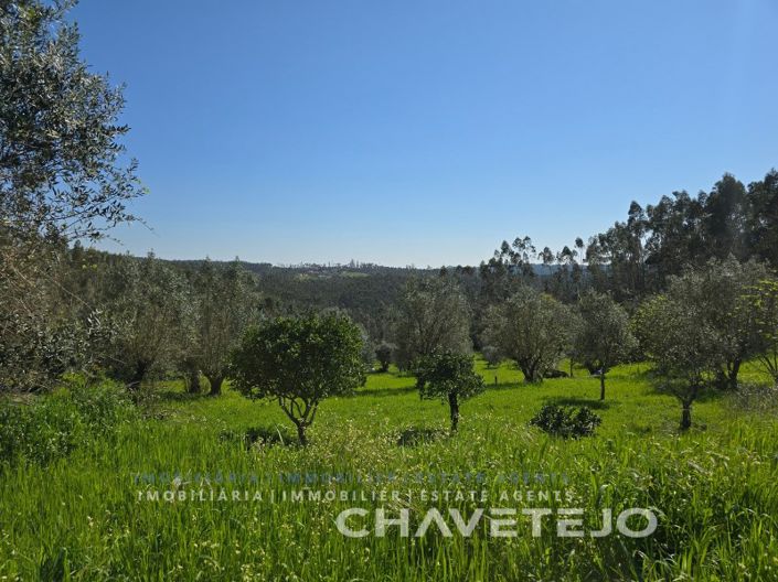 Image No.30-4 Bed House for sale