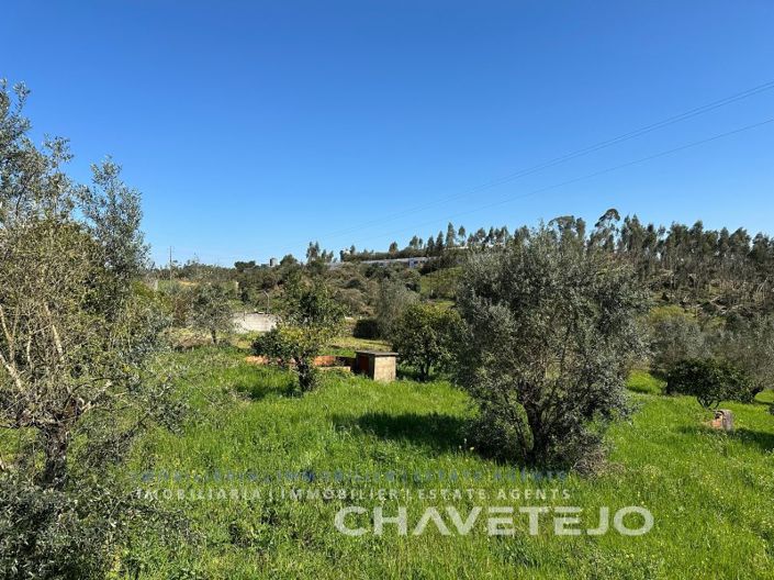 Image No.31-4 Bed House for sale