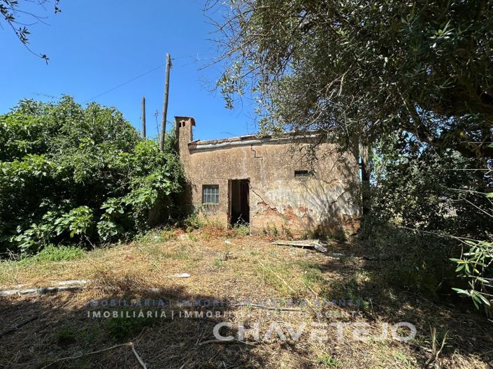 Image No.3-2 Bed House for sale