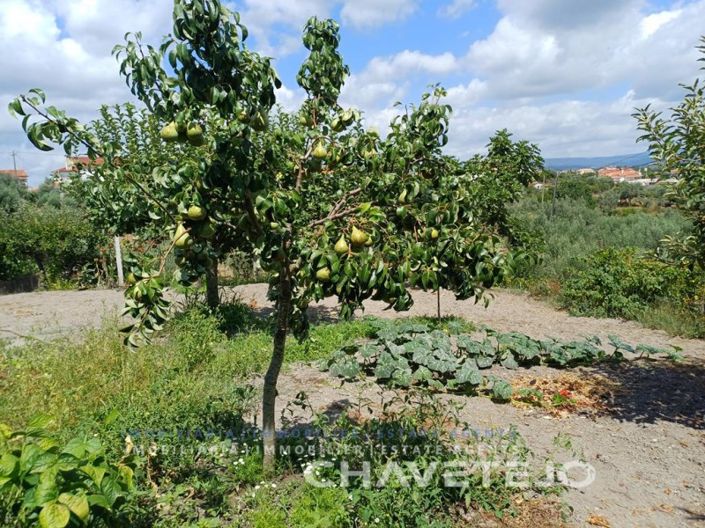 Image No.39-4 Bed Farmhouse for sale