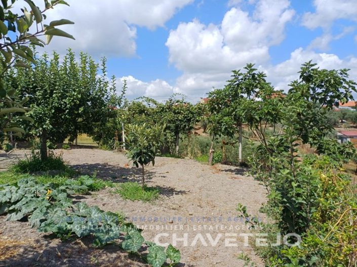 Image No.40-4 Bed Farmhouse for sale
