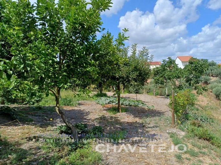 Image No.42-4 Bed Farmhouse for sale