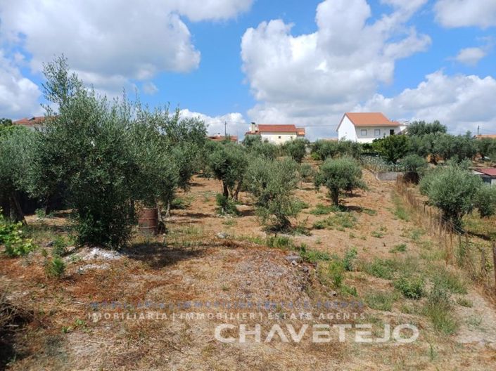 Image No.43-4 Bed Farmhouse for sale