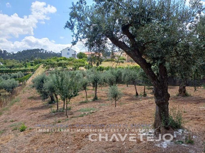 Image No.45-4 Bed Farmhouse for sale