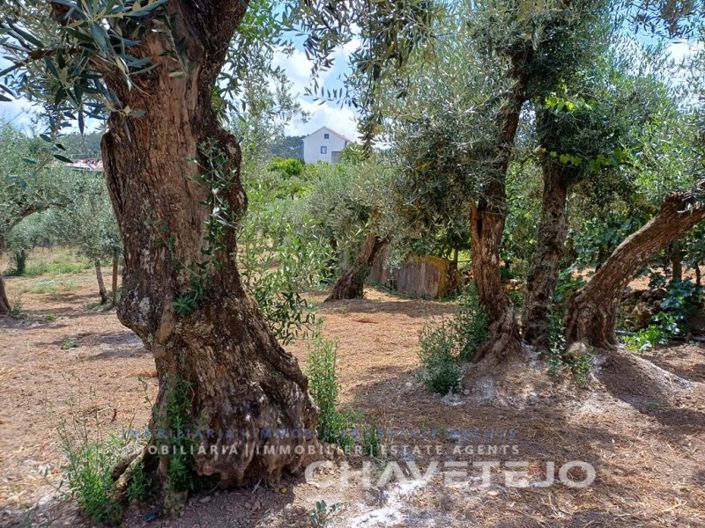 Image No.47-4 Bed Farmhouse for sale