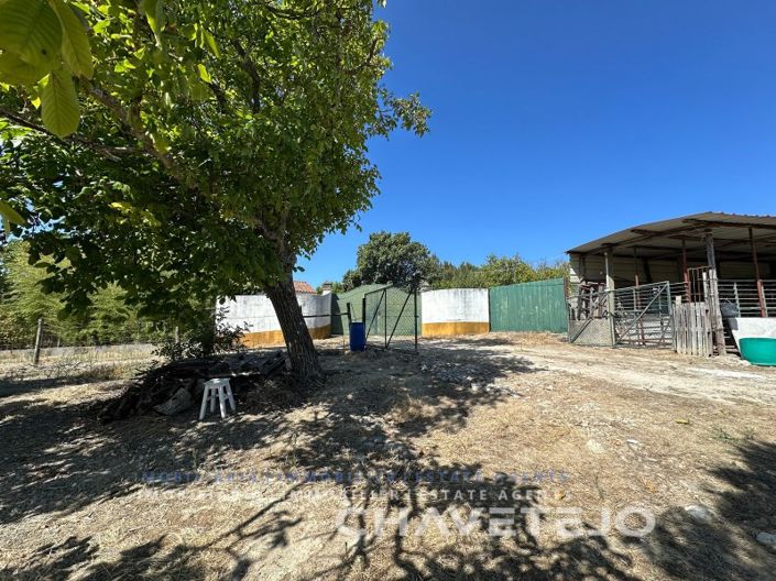 Image No.15-Ferme de 1 chambre à vendre à Torres Novas