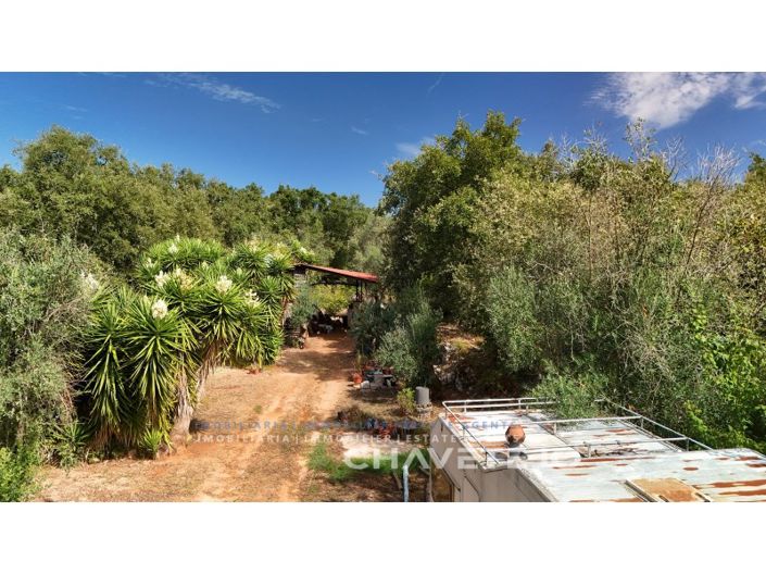 Image No.4-Plot for sale