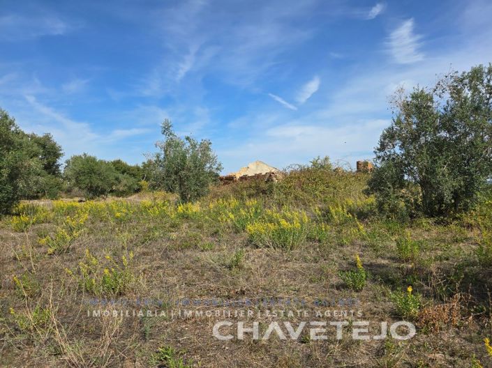 Image No.13-3 Bed House for sale