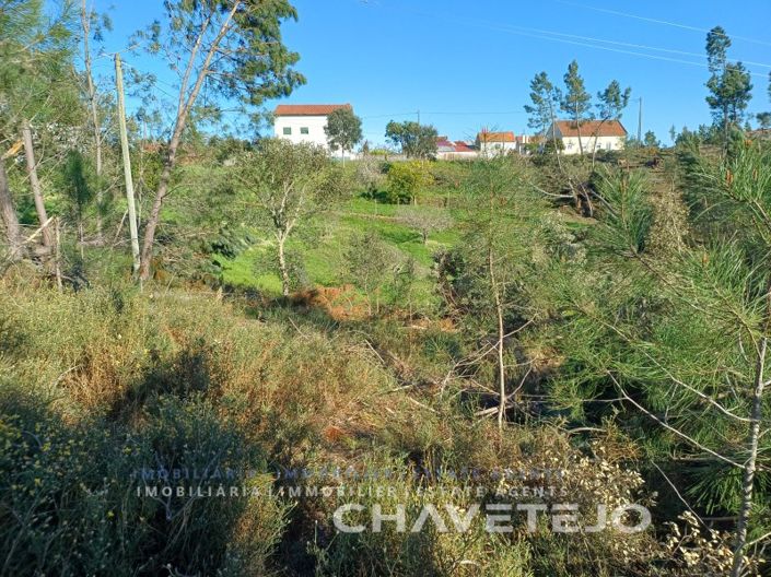Image No.22-4 Bed House for sale
