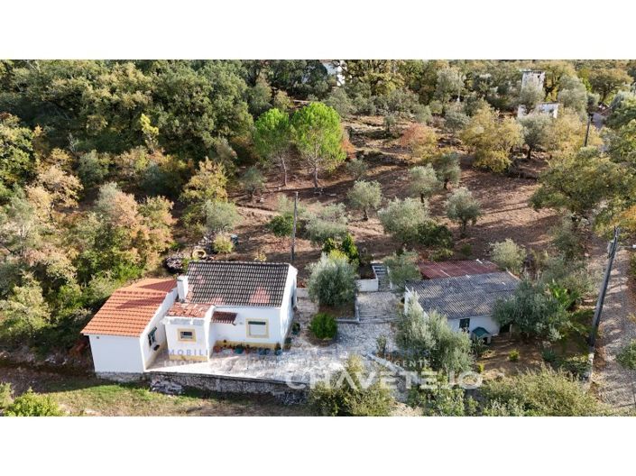 Country Cottage with Views & Potential near Alvaiázere