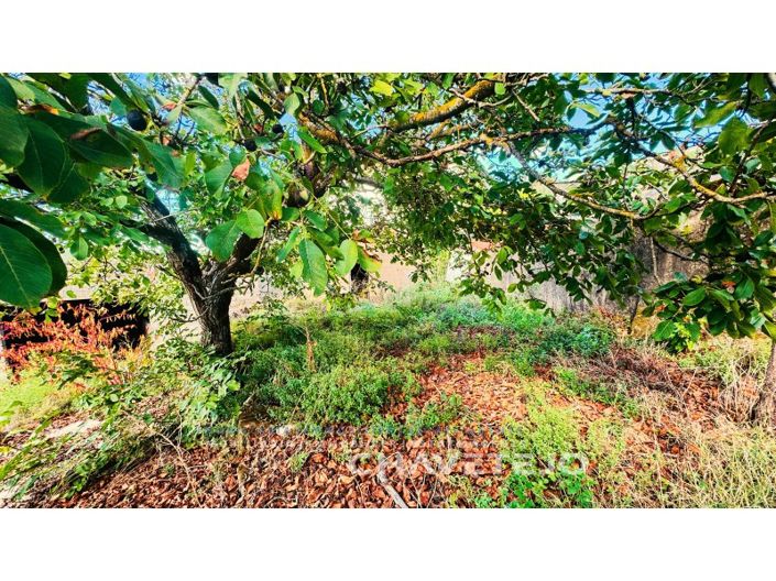 Image No.20-4 Bed House for sale