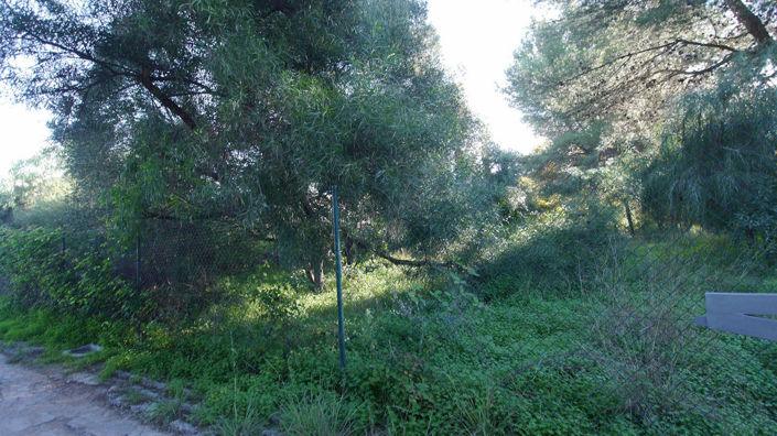 Image No.1-Property for sale