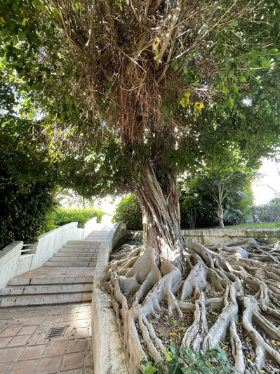 Image No.12-3 Bed Property for sale