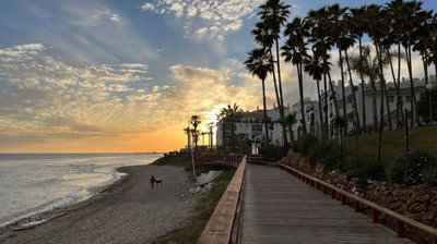 7-aa4cc561180b369757c0bb4af9886cd3