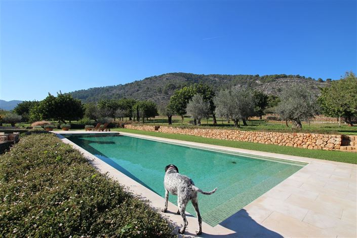 Image No.3-6 Bed Chalet for sale