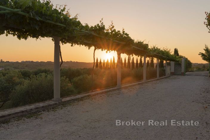 Image No.15-Villa de 12 chambres à vendre à Zadar