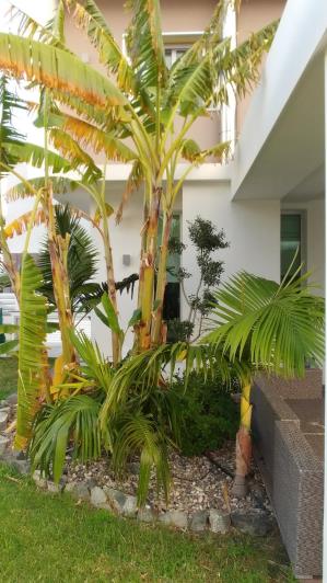 Image No.13-Villa de 4 chambres à vendre à Episkopi