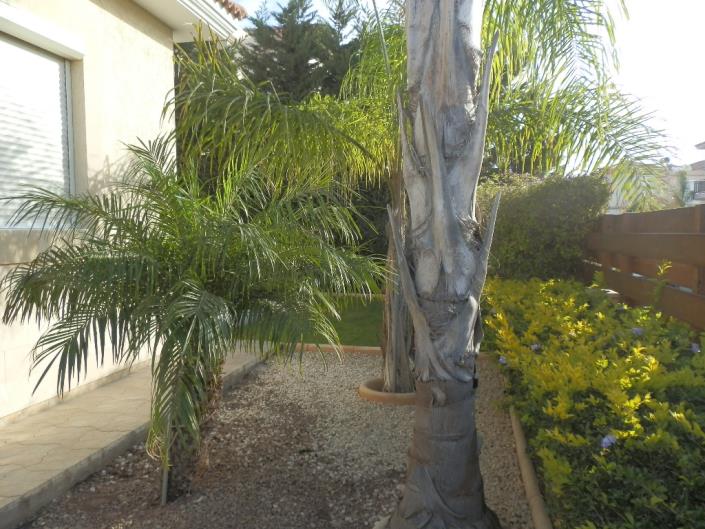 Image No.13-Villa de 3 chambres à vendre à Ayios Tychonas