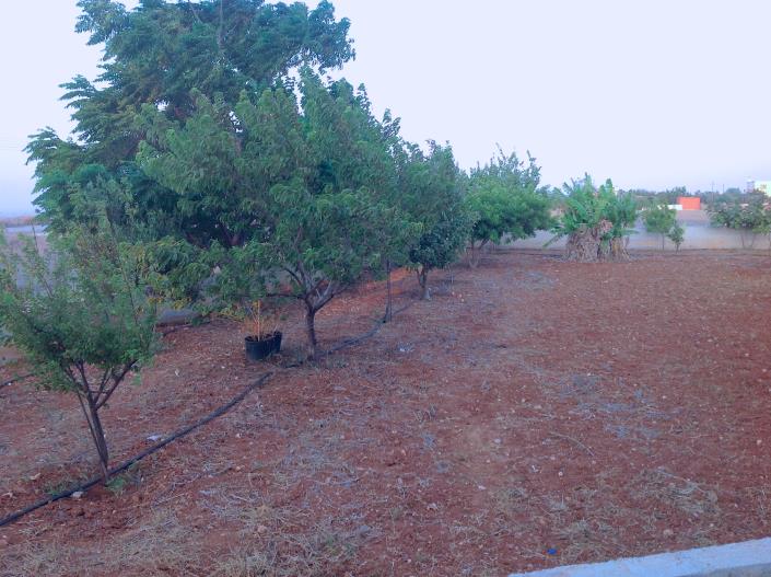 Image No.22-Villa / Détaché de 5 chambres à vendre à Famagusta