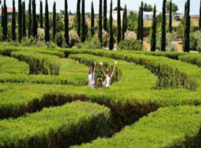 Image No.9-Bungalow de 2 chambres à vendre à Avgorou