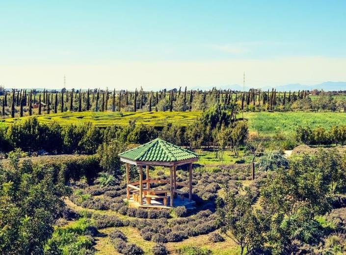 Image No.11-Bungalow de 2 chambres à vendre à Avgorou