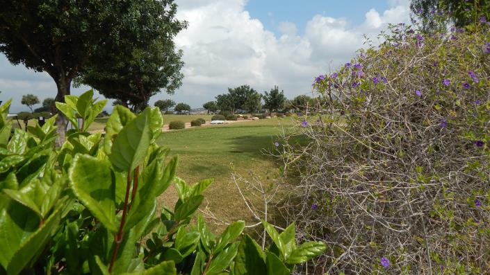 Image No.19-Maison de ville de 3 chambres à vendre à Aphrodite Hills