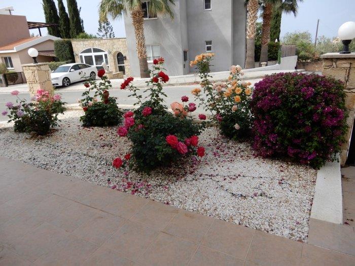 Image No.21-Villa de 3 chambres à vendre à Peyia